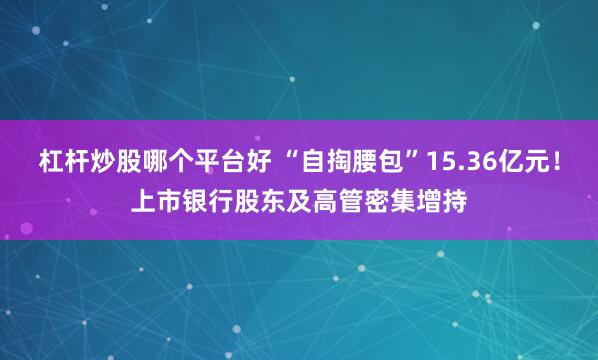 杠杆炒股哪个平台好 “自掏腰包”15.36亿元!上市银行股东及高管密集增持